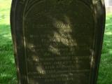 image of grave number 648399